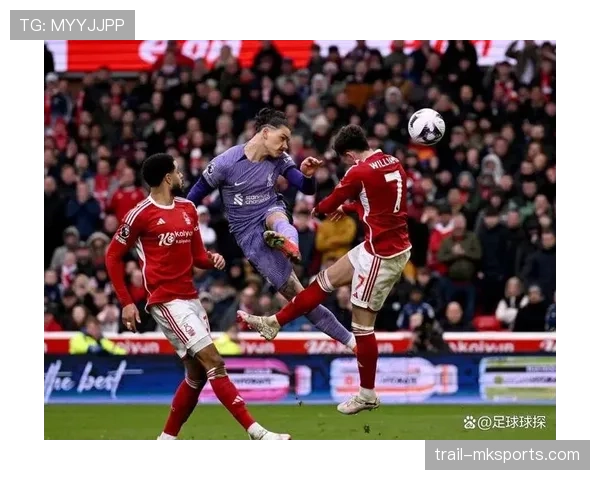 诺丁汉森林新赛季阵容深度解析：挑战与机遇并存