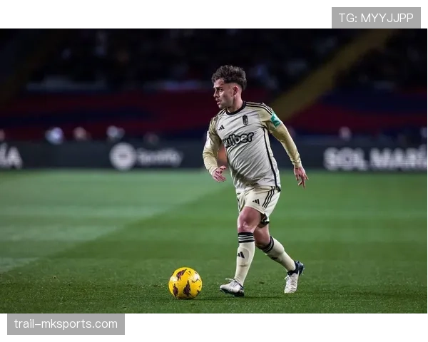 西甲射手榜揭晓，新星崛起与老将再创新高的表现分析